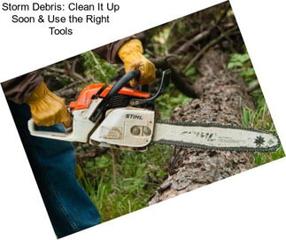 Storm Debris: Clean It Up Soon & Use the Right Tools