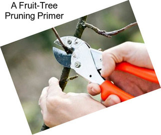 A Fruit-Tree Pruning Primer