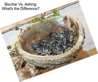 Biochar Vs. Ashing: What\'s the Difference?
