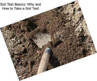 Soil Test Basics: Why and How to Take a Soil Test