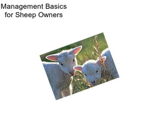Management Basics for Sheep Owners