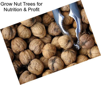 Grow Nut Trees for Nutrition & Profit