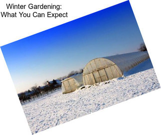 Winter Gardening: What You Can Expect