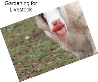 Gardening for Livestock