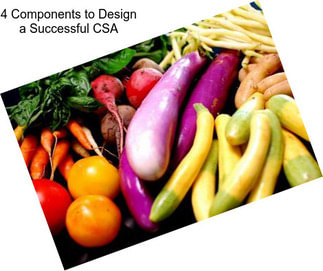 4 Components to Design a Successful CSA