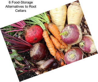 6 Food-Storage Alternatives to Root Cellars