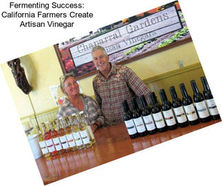 Fermenting Success: California Farmers Create Artisan Vinegar