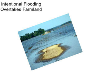 Intentional Flooding Overtakes Farmland