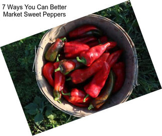 7 Ways You Can Better Market Sweet Peppers