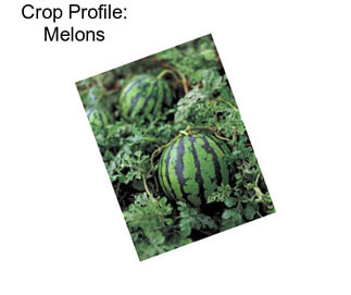 Crop Profile: Melons
