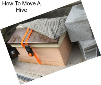 How To Move A Hive
