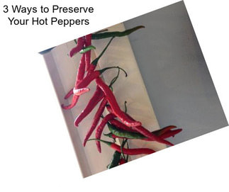 3 Ways to Preserve Your Hot Peppers
