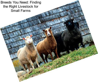 Breeds You Need: Finding the Right Livestock for Small Farms