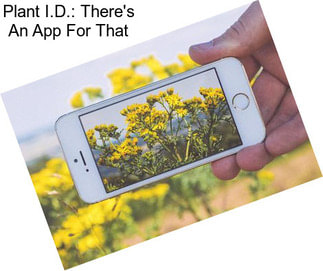 Plant I.D.: There\'s An App For That