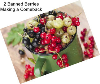 2 Banned Berries Making a Comeback