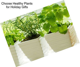 Choose Healthy Plants for Holiday Gifts