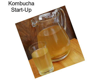 Kombucha Start-Up