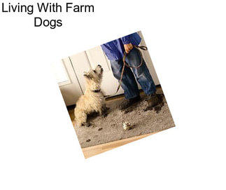 Living With Farm Dogs