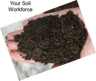 Your Soil Workforce
