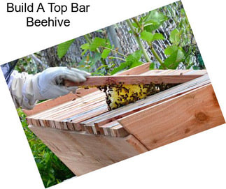 Build A Top Bar Beehive