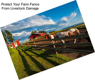 Protect Your Farm Fence From Livestock Damage
