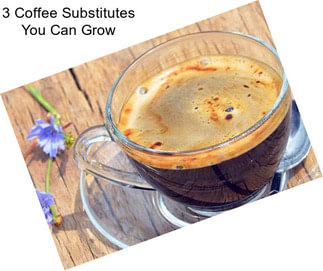 3 Coffee Substitutes You Can Grow