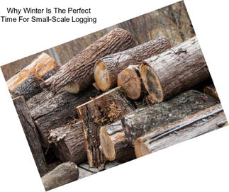Why Winter Is The Perfect Time For Small-Scale Logging
