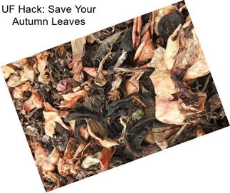 UF Hack: Save Your Autumn Leaves