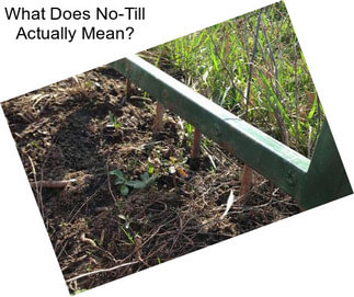 What Does No-Till Actually Mean?