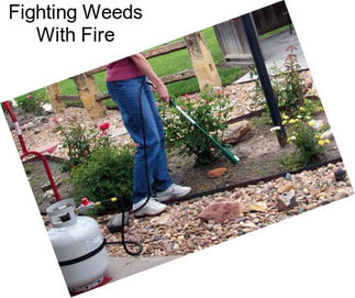 Fighting Weeds With Fire