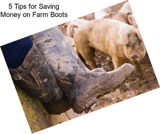 5 Tips for Saving Money on Farm Boots