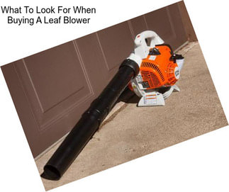What To Look For When Buying A Leaf Blower