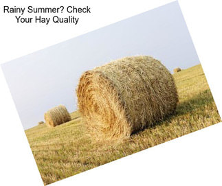 Rainy Summer? Check Your Hay Quality