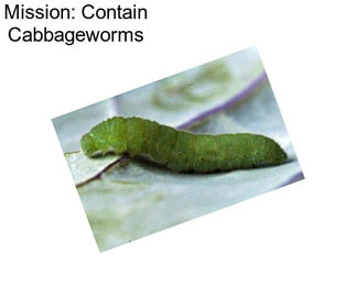 Mission: Contain Cabbageworms