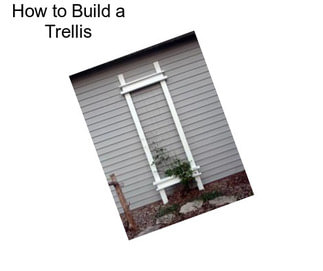 How to Build a Trellis