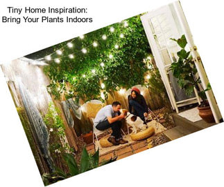 Tiny Home Inspiration: Bring Your Plants Indoors