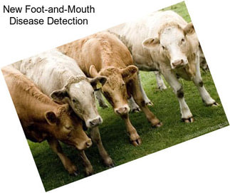 New Foot-and-Mouth Disease Detection