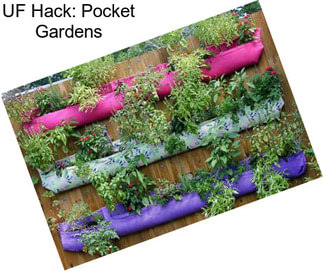 UF Hack: Pocket Gardens