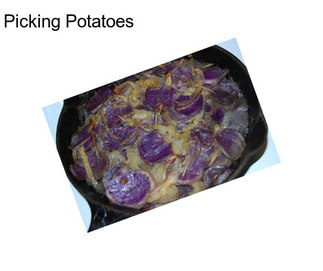 Picking Potatoes