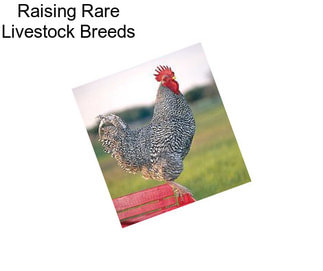 Raising Rare Livestock Breeds