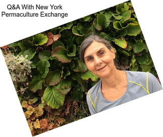 Q&A With New York Permaculture Exchange