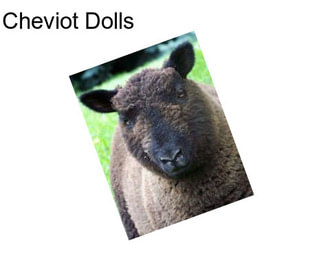 Cheviot Dolls