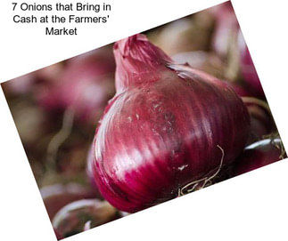 7 Onions that Bring in Cash at the Farmers\' Market