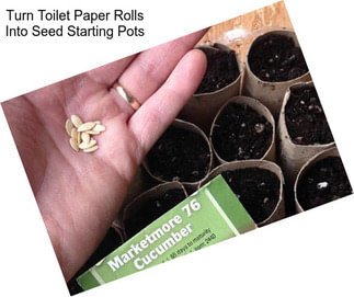Turn Toilet Paper Rolls Into Seed Starting Pots