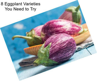 8 Eggplant Varieties You Need to Try