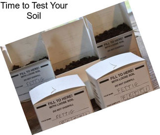 Time to Test Your Soil