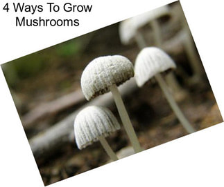 4 Ways To Grow Mushrooms