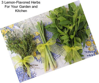 3 Lemon-Flavored Herbs For Your Garden and Kitchen