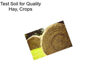 Test Soil for Quality Hay, Crops