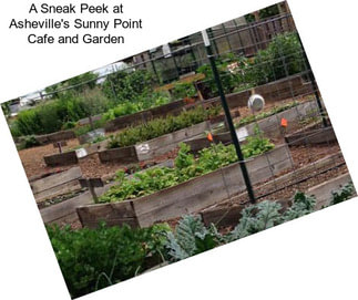 A Sneak Peek at Asheville\'s Sunny Point Cafe and Garden